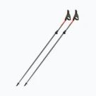 Nordic Walking hole
