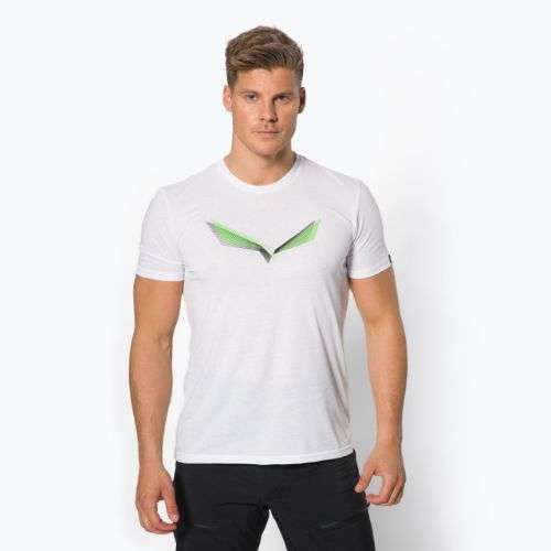 Pánske trekingové tričko Salewa Lines Graphic Dry white 00-0000028065