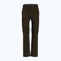 Columbia Silver Ridge II converti 319 green 1794891 pánske trekingové nohavice 9