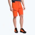 Pánske turistické šortky Salewa Pedroc Cargo 2 orange 26934