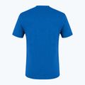 Pánske trekingové tričko Salewa Alpine Hemp Logo blue 00-0000028132 5