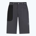 Pánske lezecké šortky La Sportiva Ecstatic sivé N64900999 5