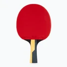 Stolný tenis